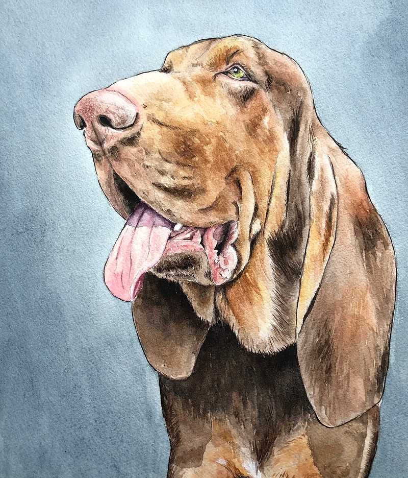 Detailed watercolor portrait of a brown dog