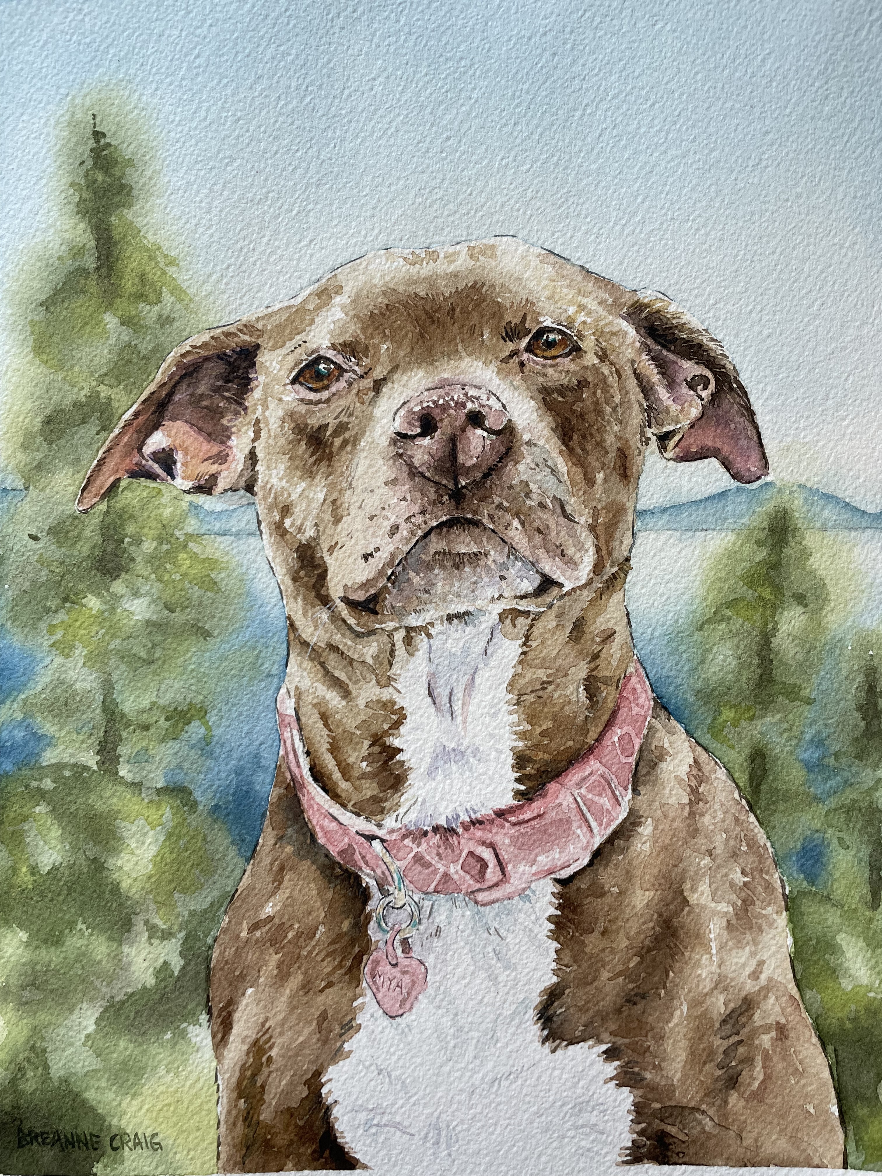 Watercolor portrait of a brown dog wearing a pink collar